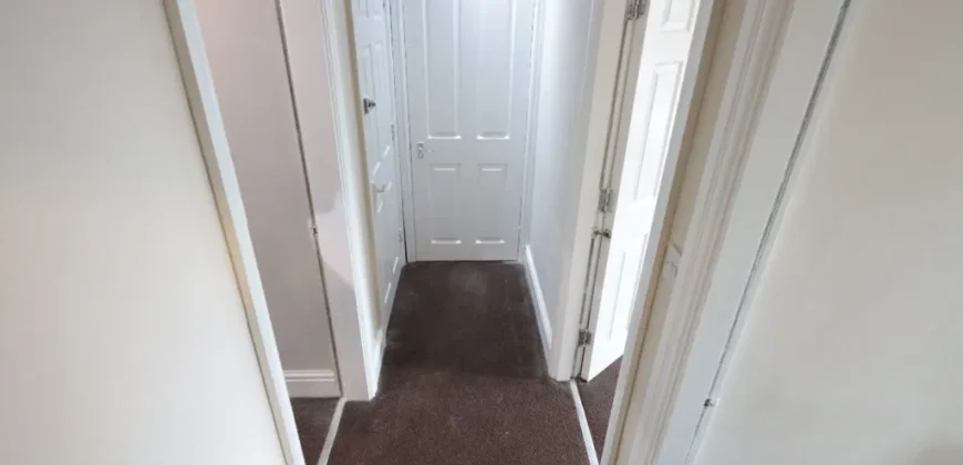 3 bed flat to rent