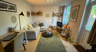 1 bed flat to rent