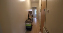 1 bed flat to rent