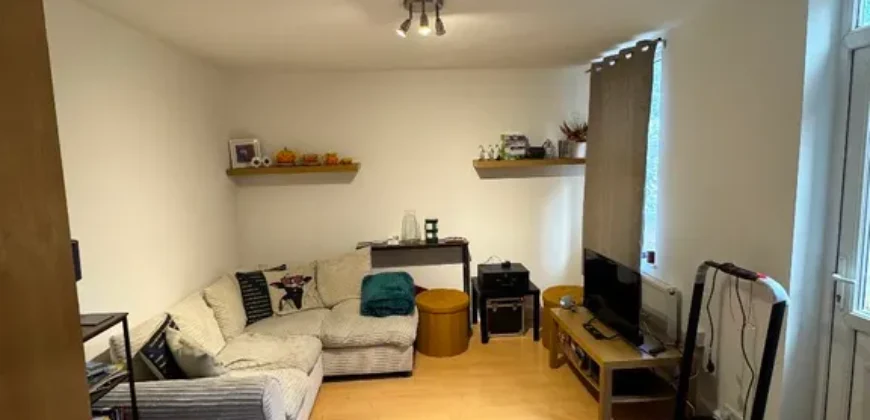 1 bed flat to rent