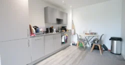 1 bed flat to rent