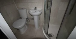 3 bed flat to rent