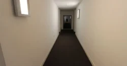 1 bed flat to rent