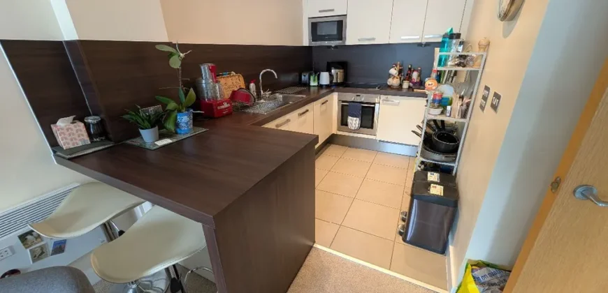 1 bed flat to rent