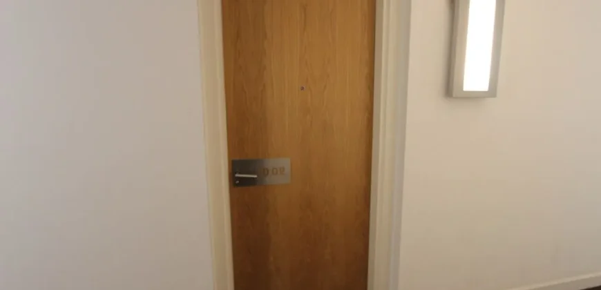 1 bed flat to rent