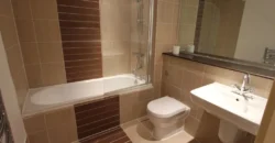 1 bed flat to rent