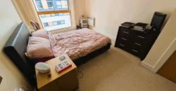 1 bed flat to rent