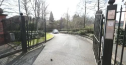2 bed flat to rent