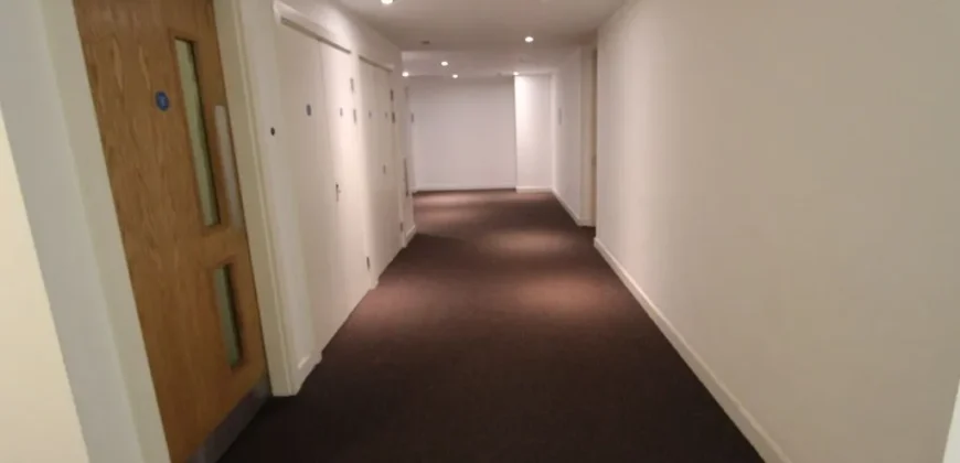 1 bed flat to rent