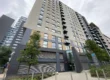 1 bed flat to rent