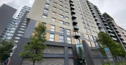 1 bed flat to rent