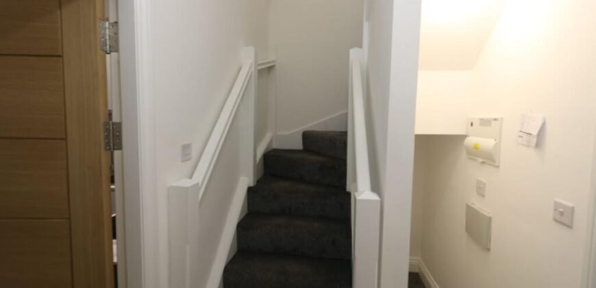 Daisy Bank Road, Victoria Park, M14